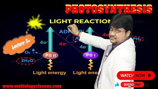 Photosynthesis Light Reaction  Class XI amp NEET Lecture2 [upl. by Abbie]