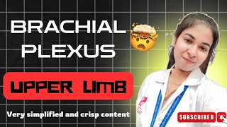 Brachial Plexus  Upper Limb simplified anatomy smcw [upl. by Ashil835]