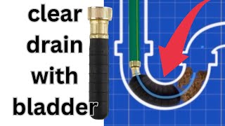 Clear Drain with Bladder Quick and Effective Plumbing Solution [upl. by Adina]