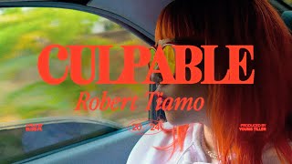 Robert Tiamo  Culpable Videoclip [upl. by Ecnatsnok503]