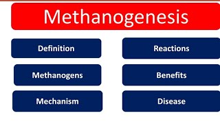 Methanogenesis  Definition  Methanogens  Mechanism  Reaction  Benifit  Disease  Hindi English [upl. by Cirtemed81]