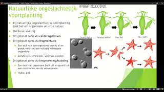 Klas 4 VWO Thema 2 Voortplanting amp seksualiteit basisstof 1 Ongeslachtelijke voortplanting deel 2 [upl. by Whitcomb]