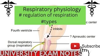 Regulation of respirationtypes of Regulation of respirationmedicoscontent3135 [upl. by Nibla]