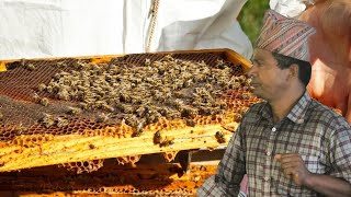 मौरी पालन तालिम  Beekeeping Training Class 1 Mero Yatra [upl. by Bouldon]