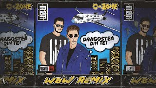 OZone  Dragostea Din Tei WampW Remix Official Music Video [upl. by Vrablik]