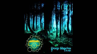 DJ Millivolt Zenon Records  Deep Shades DJ Mix 2013 [upl. by Nairam]