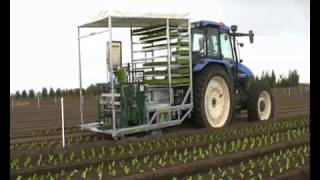 Fully automatic planting machine  4 row vegetable transplanter [upl. by Randolph868]