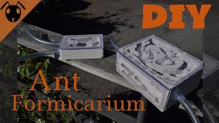 How to make a DIY Ytong formicarium Ant nest Tutorial [upl. by Lottie]