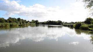 PAWLETT PONDS PAWLETT BRIDGWATER SOMERSET [upl. by Adnil]