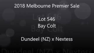 Premier 2018 Lot 546 Dundeel NZ x Nextess [upl. by Alick]