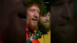 Dubliners Monto Luke Kelly HQ Ireland 1970 folk shorts [upl. by Darsey983]