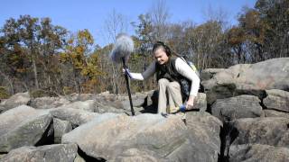 The Magical Sounds of Ringing Rocks [upl. by Candi]