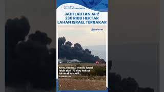 Diserang Hizbullah Tanpa Henti Ratusan Ribu Hektar Lahan di Israel Terbakar Bak Lautan Api [upl. by Anehsak]