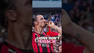 Ibrahimovic Refused To Be A Coach [upl. by Reerg]