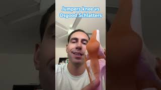 Jumpers Knee vs Osgood Schlatters differences shorts [upl. by Thais]