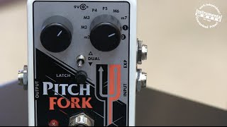 Electro Harmonix Pitch Fork Bass Demo [upl. by Eenwahs406]