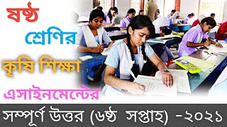 class 6 Krishi Shikkha assignment 2021 6th week assignment answer class six 2021 class 6 assignment [upl. by Huba716]