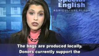 Bags Help Farmers Protect Harvests From Air and Insects [upl. by Bollen]