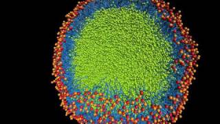 Nanoscale emulsion formation [upl. by Ecyned]