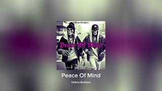 Hollow Brothers  Peace Of Mind Official Audio [upl. by Nahsin]