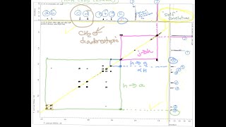 HH COSY Analysis of all cis133a457ahexahydro5methyl3oxo4isobenzofurancarboxylic acid [upl. by Geraldine]