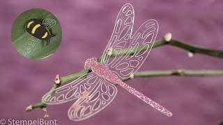 ANLEITUNG  Libelle und Hummel in 3D cminch mit Produkten von StampinUp® [upl. by Juna]