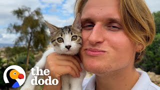 Rescued Kitten Pulls Dad Along On Hikes  The Dodo [upl. by Ailegra]