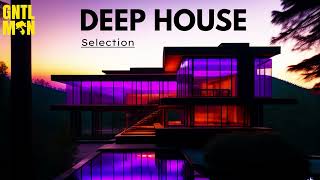 The Best Tracks of Gentleman  Deep House Selection Vol1 [upl. by Arriet757]