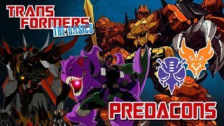 TRANSFORMERS THE BASICS on the PREDACONS [upl. by Ecnedac]