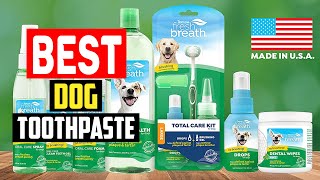 ✅Top 5 Best Dog Toothpastes of 2023 [upl. by Brighton528]