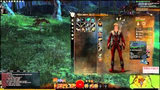 Guild Wars 2 HD  How to Equip Items [upl. by Ahsienahs]