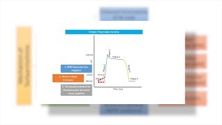 Antiarrhythmic drugs agents  Chapter 2 Tachyarrhythmias Made Easy [upl. by Refinnaj]