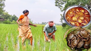 santali old couple collect country crab in field and cooking for their lunch [upl. by Eanar]