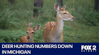 Michigans deer hunting problem isnt going away [upl. by Kayne]