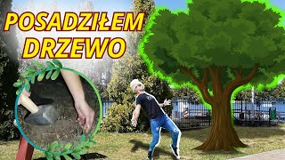 Życie na Trębach Posadziłem drzewoodc11ANIMATOR DAWID [upl. by Darius]