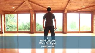 Tai Chi Form 2  Ward Off Left and Ward Off Right [upl. by Wittie453]