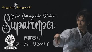 Suparinpei 壱百零八 スーパーリンペイ  Gohei Yamaguchi shihan [upl. by Anelak]