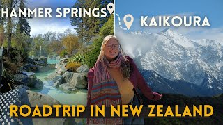 New Zealands Hidden Gems Hot Springs Adventure in Hanmer Springs amp Kaikoura  NZ Roadtrip Vlog [upl. by Alemac]