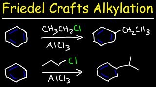 Friedel Crafts Alkylation of Benzene Reaction Mechanism  Tons of Examples [upl. by Gaskin496]