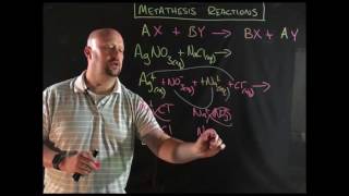 Metathesis Reactions [upl. by Tegan]