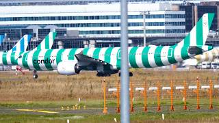 Condor Airbus A330 takes off to San Francisco planespotting frankfurtairport [upl. by Ermin]