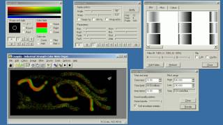 Coagula 1666 Sound Spectrogram Painting [upl. by Rida]