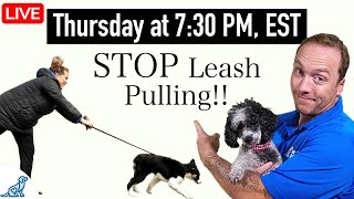 10 Tips To FIX Your Leash Walking Training For Dogs That Pull [upl. by Cirderf]