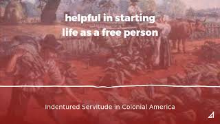 Indentured Servitude in Colonial America [upl. by Udele368]