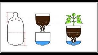 Tutorial Hidroponik Sistem Sumbu Botol Bekas HIdroponik Wick System Sederhana [upl. by Aneeg72]