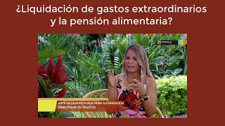 Liquidación gastos extraordinarios y la pensión alimentaria en Costa Rica [upl. by Pepe]