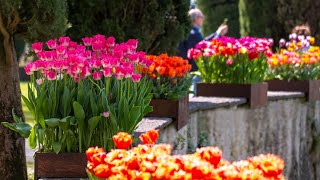 Come visitare il Parco Giardino Sigurtà Il videoracconto di primavera [upl. by Akina]