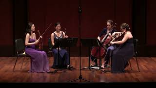 J Brahms  String Quartet No 1 in C Minor Op 51 No 1 [upl. by Azeel500]