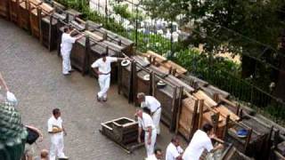 Madeira Funchal Carros de cesto Monte Downhill high speed road rafting [upl. by Kaule]