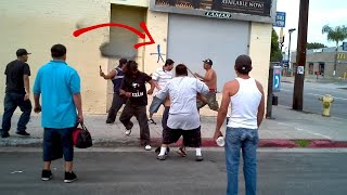 Street Thugs EXPOSED by REAL FIGHTERS 1 [upl. by Himelman]